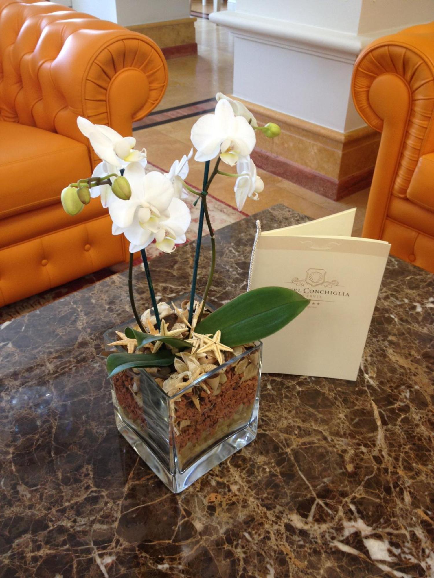 Hotel Conchiglia Cervia Luaran gambar